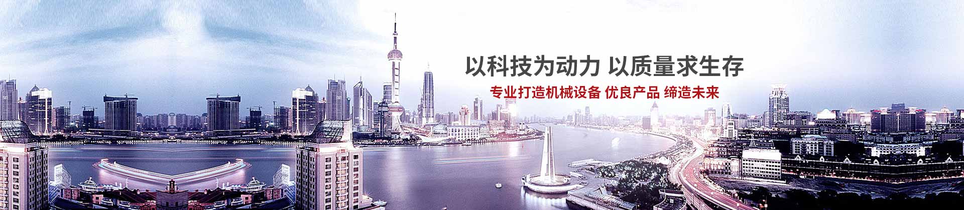 武漢車(chē)用(yòng)上(shàng)下(xià)輸送機(jī)